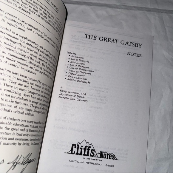 Cliffs Notes Book Lot 3 The Great Gatsby, Scarlet Letter, Our Town Study Guide - Picture 5 of 6